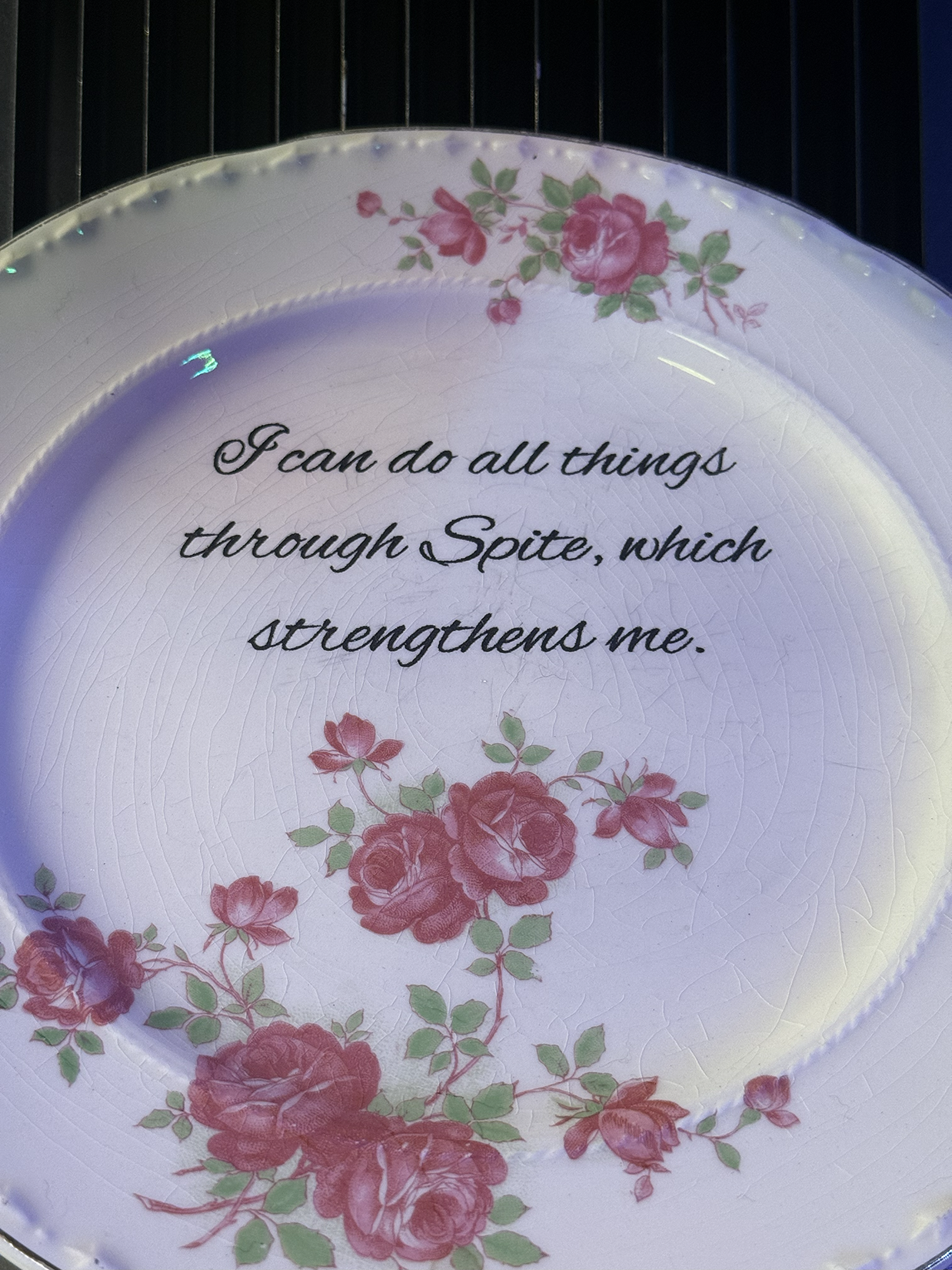 Custom laser engraved plate with funny message for birthday